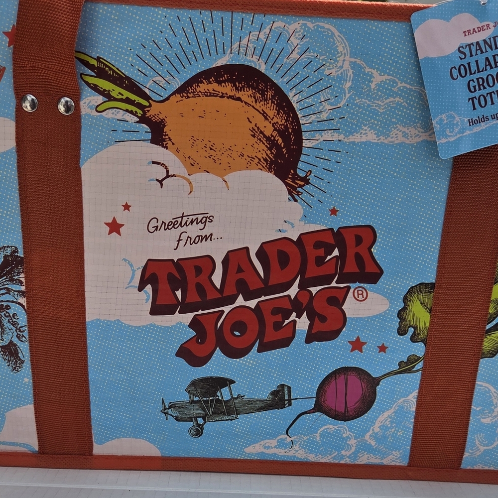 Trader Joe's Stand Up Collapsible Grocery Tote
